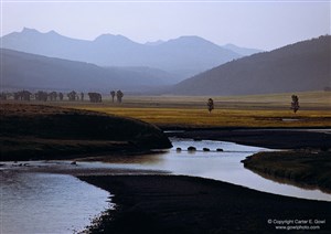 Image description is not available for 2012.007